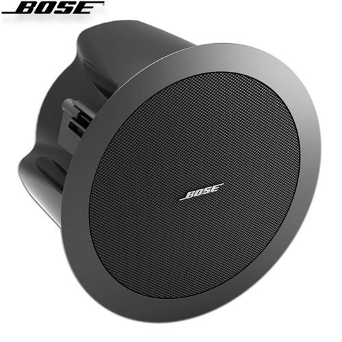 Loa Bose FreeSpace DS 16F 4